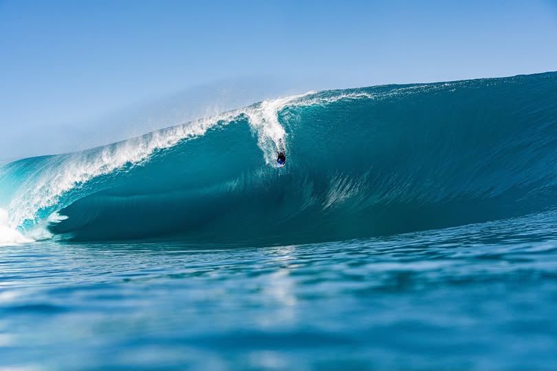 Bodyboard Science WARP Black / Mallard