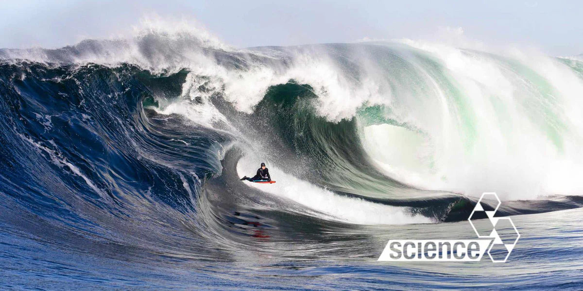 Bodyboard Science Drifter PP 1.9