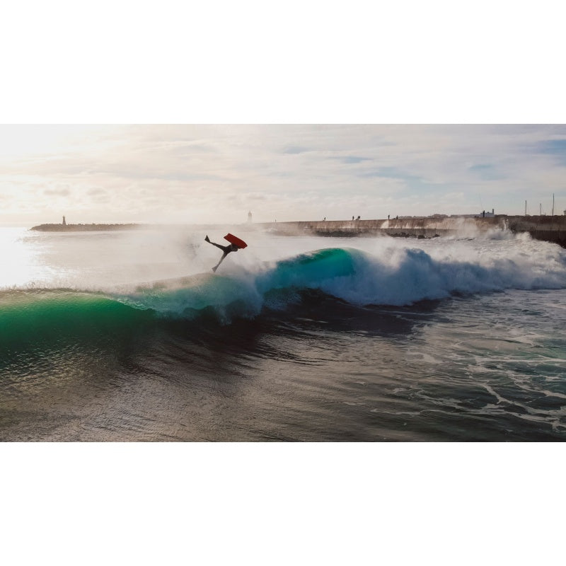 GT DANIEL FONSECA DFX